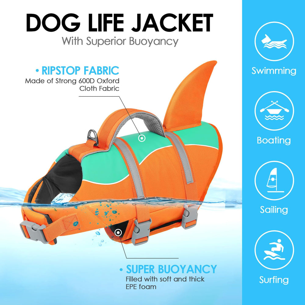 Utilisation facile du gilet AOFITEE en mer et à la plage pour chien.