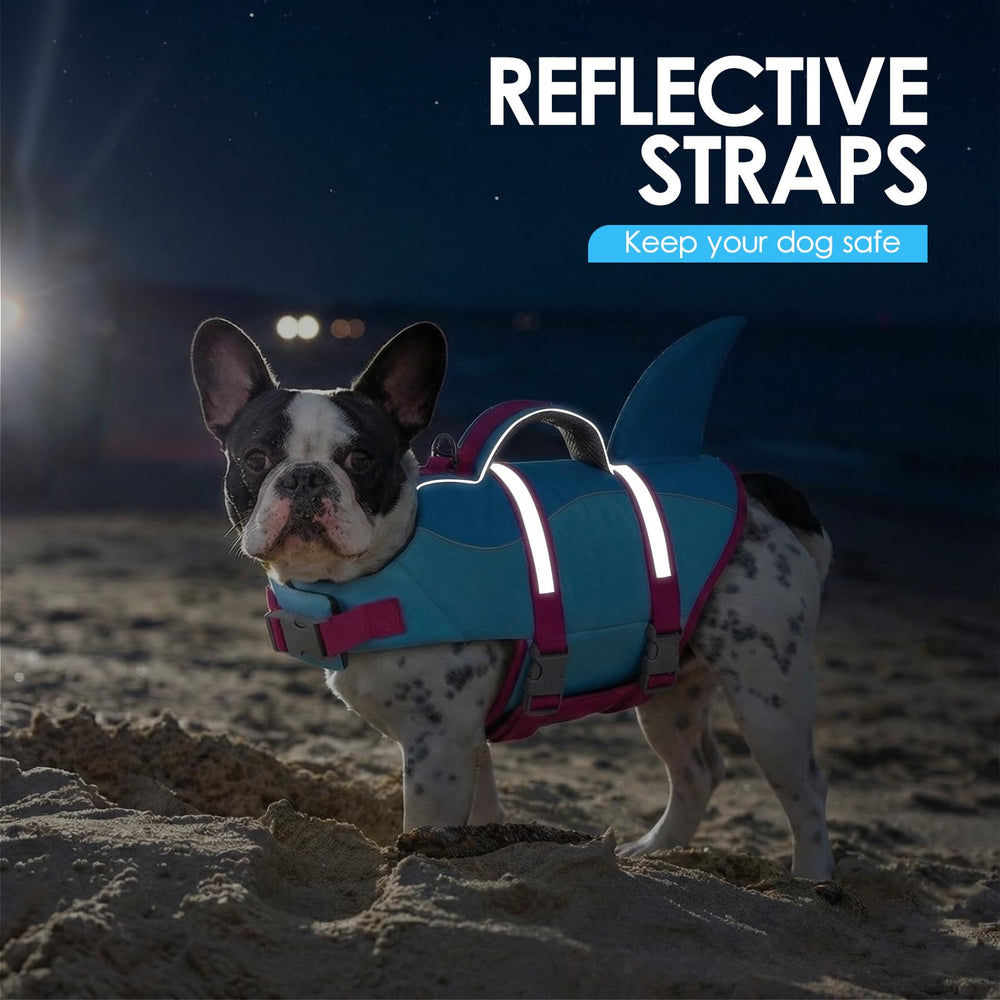 Éléments réfléchissants pour meilleure visibilité du chien