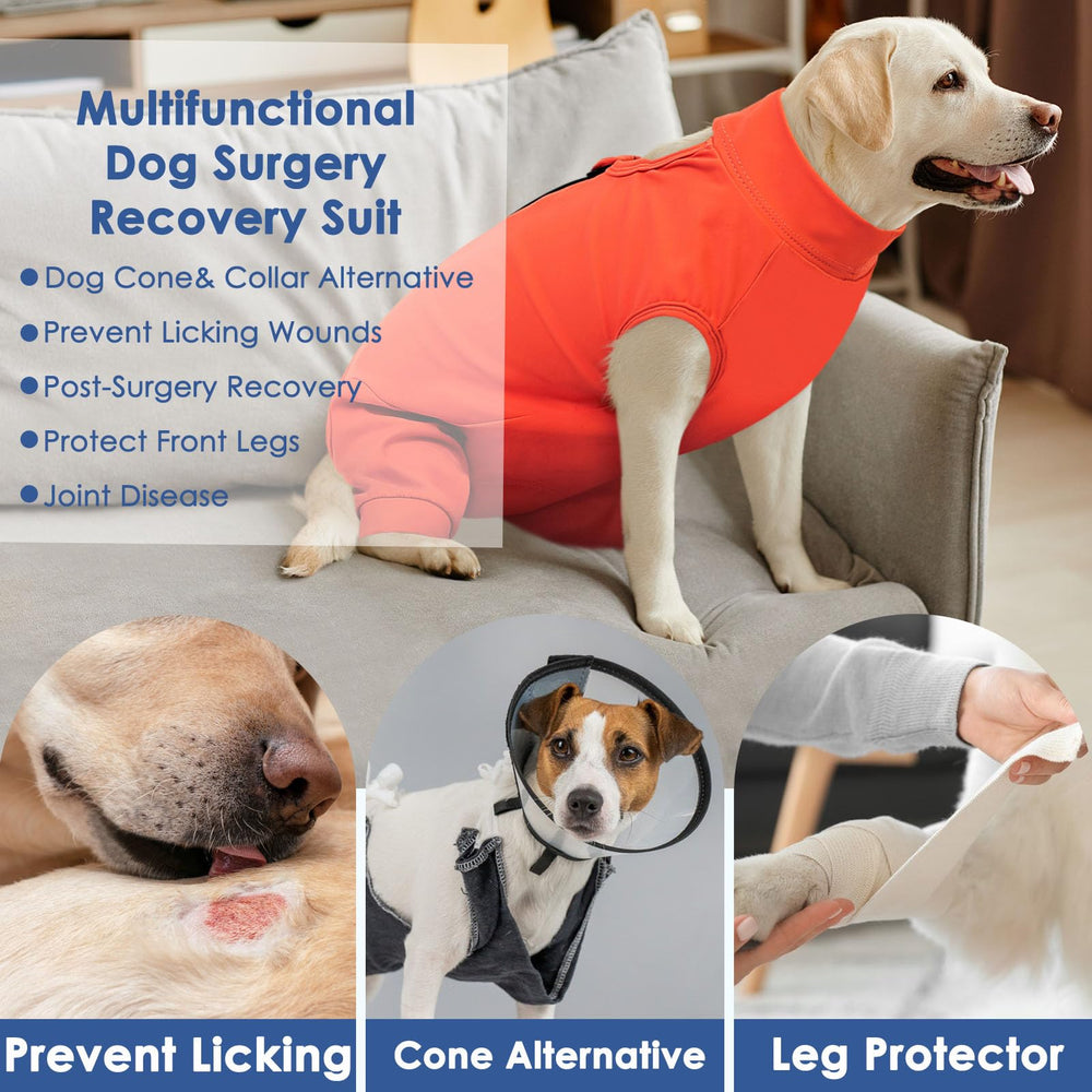 AOFITEE Manchette récupération chien XL lavable en machine pour réutilisation pratique