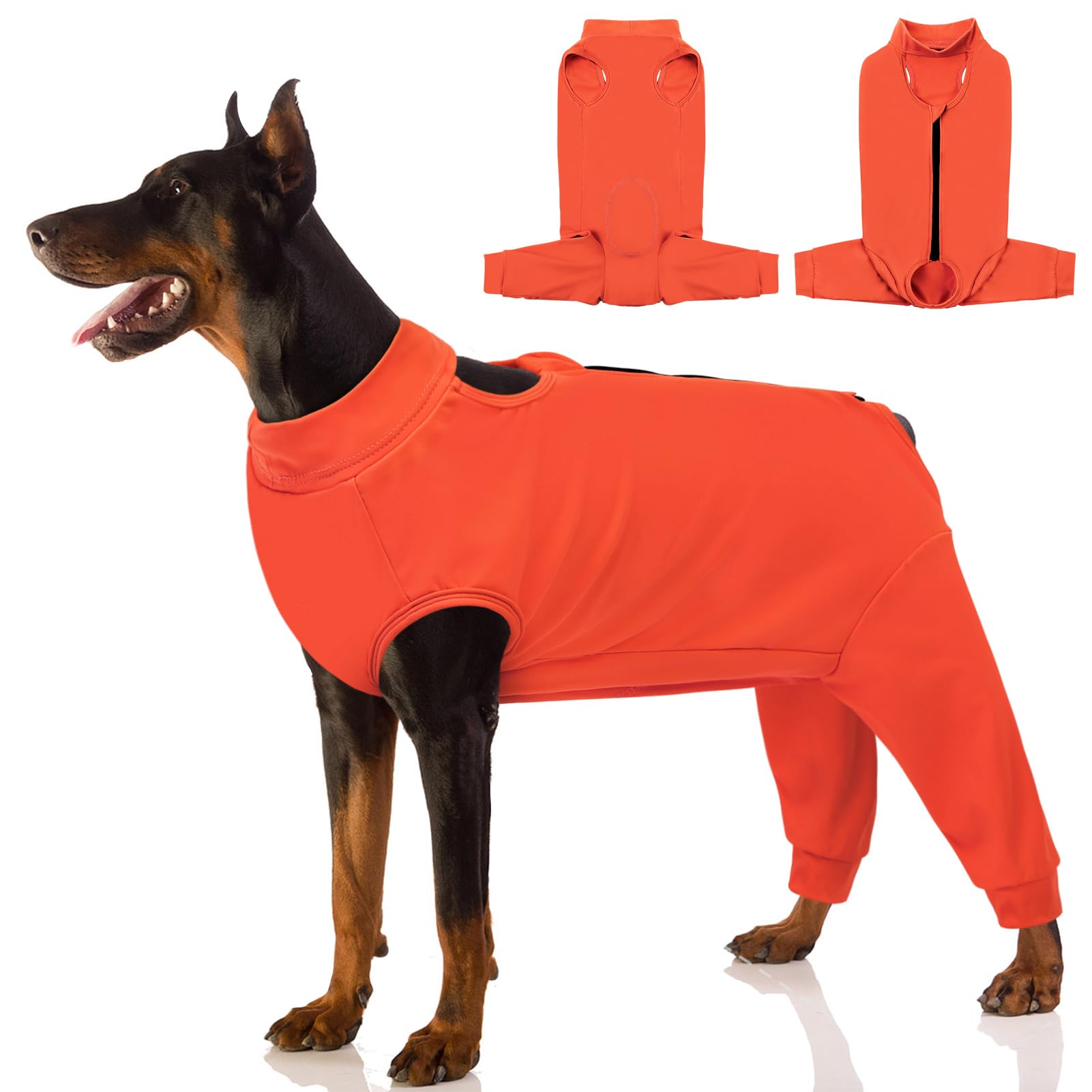 AOFITEE manchon de récupération chien patte arrière protège zone opérée.
