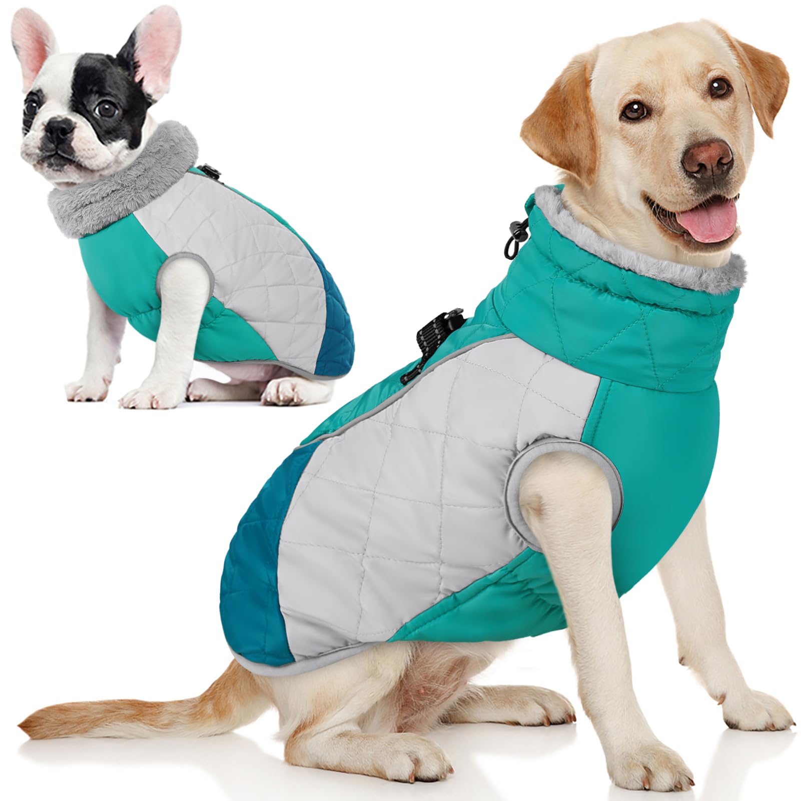 Chien portant le manteau AOFITEE avec harnais intégré et chaleur douce.