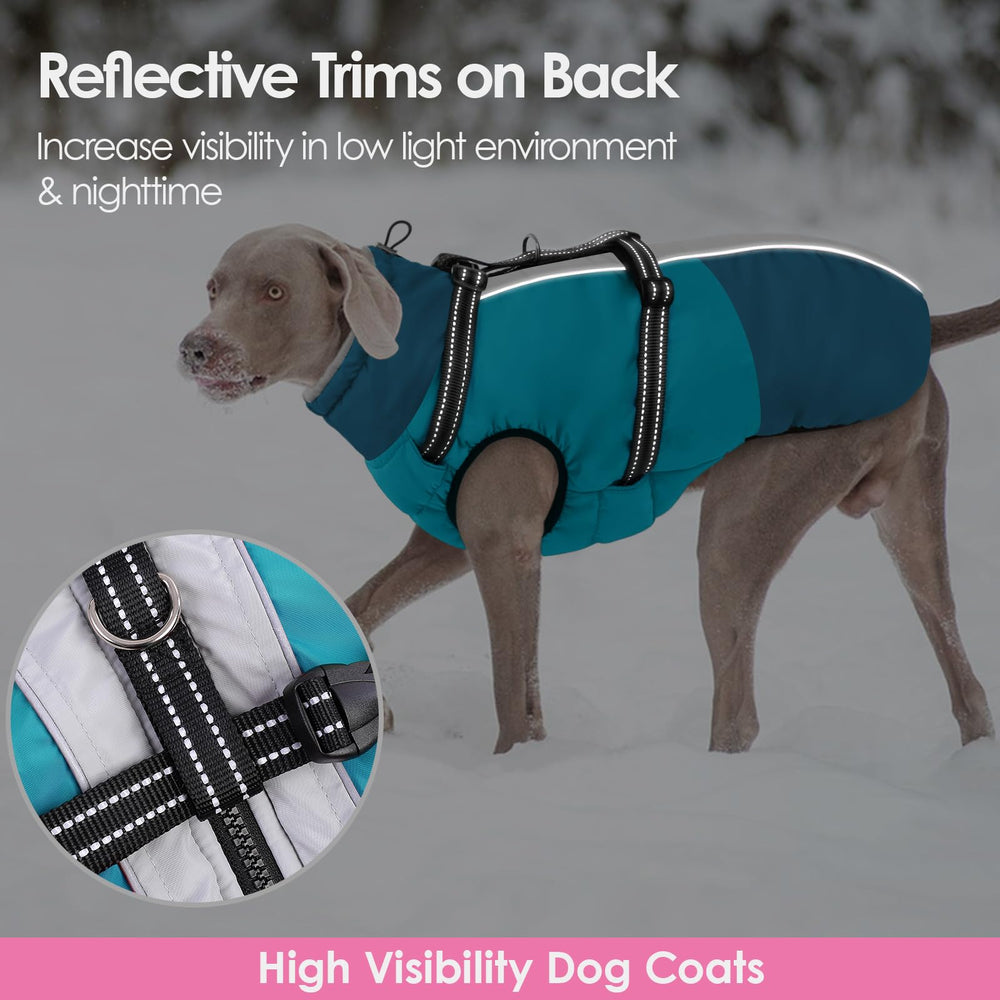 Manteau AOFITEE pour chien avec abdomen élastique pour un meilleur ajustement.