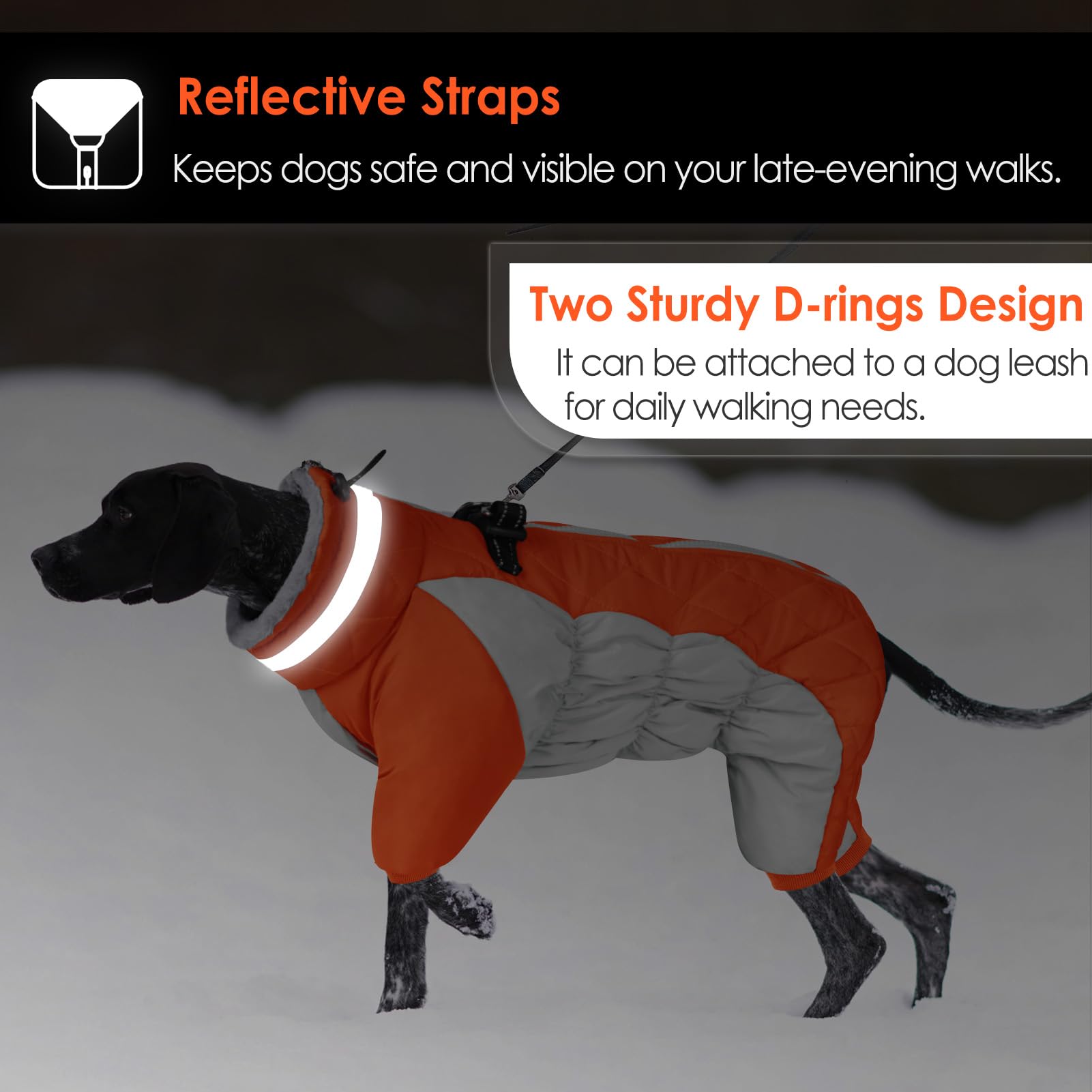 Extérieur imperméable et coupe-vent pour chien.