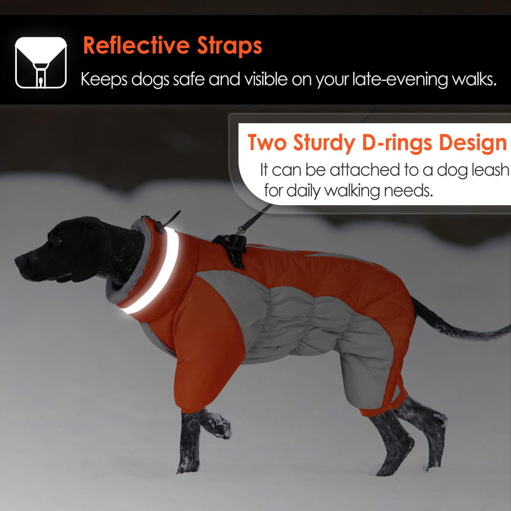 Extérieur imperméable et coupe-vent pour chien.