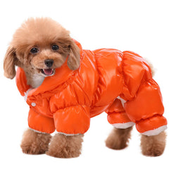 Manteau AOFITEE chien hiver corps complet protège contre le froid lors des balades.