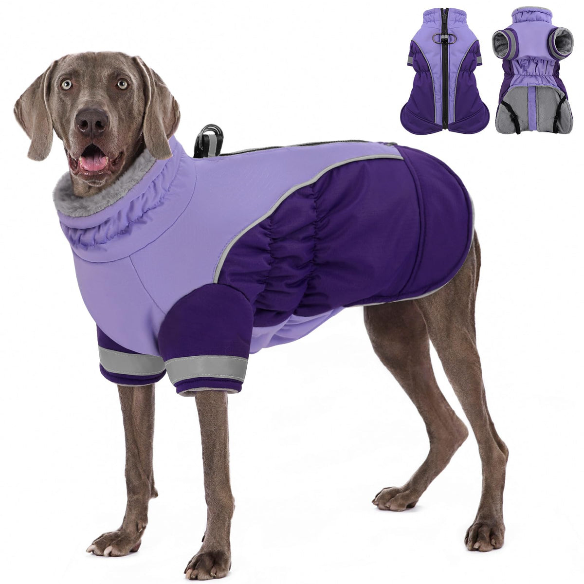 Manteau AOFITEE pour chien: dos zippé, harnais intégré, violet, pratique pour balades hivernales.