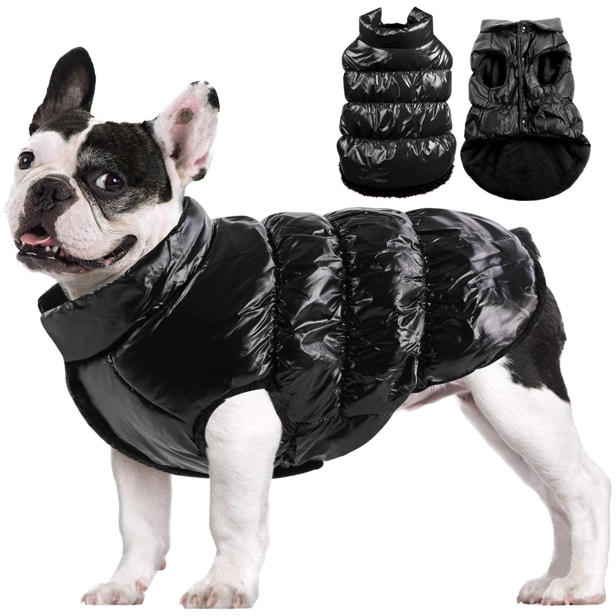 Manteau AOFITEE pour chien, hiver imperméable avec doublure polaire, protection contre intempéries.