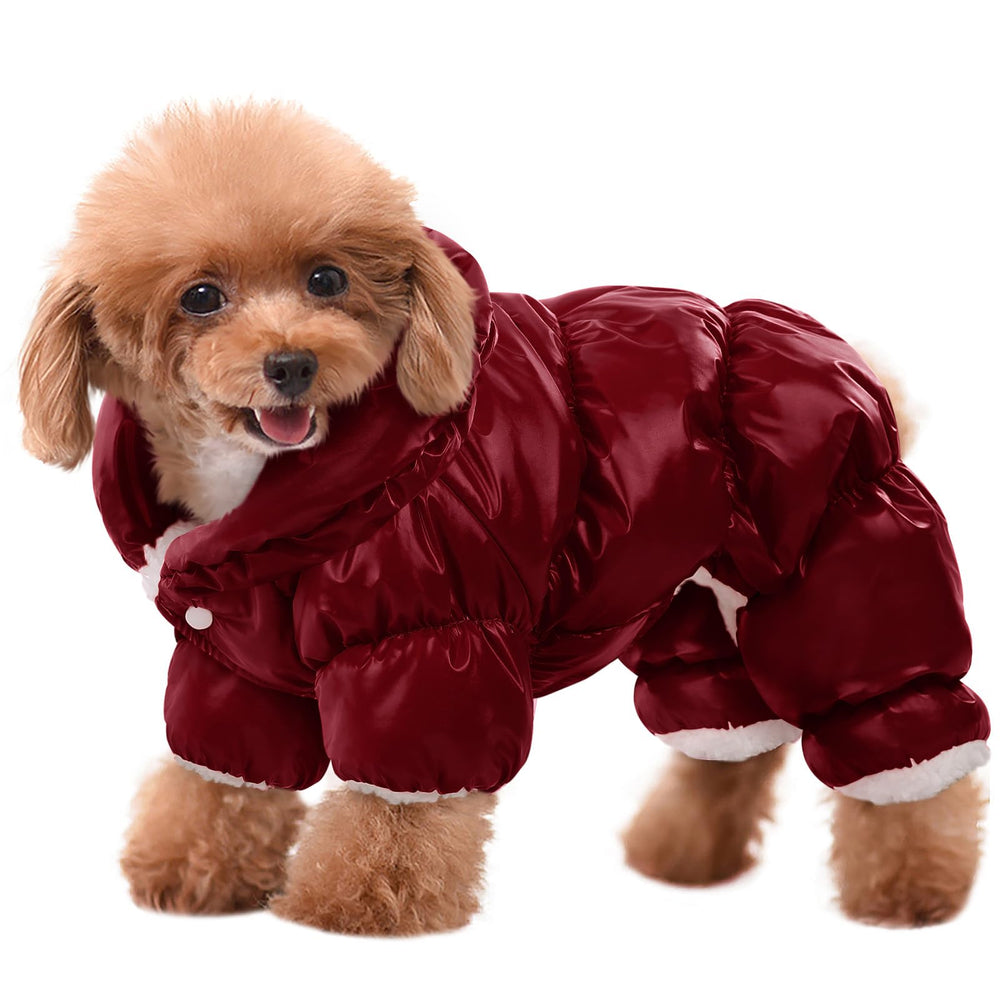 Veste imperméable AOFITEE pour chien, manteau d'hiver, protège contre pluie et vent.