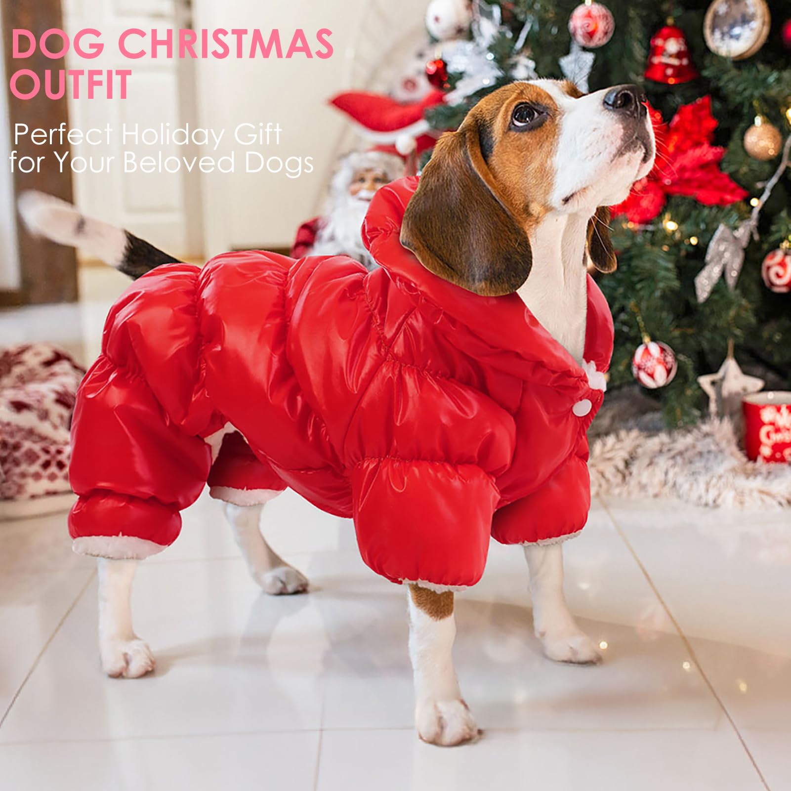 Manteau AOFITEE pour chien hiver en balade, confort et style en extérieur.