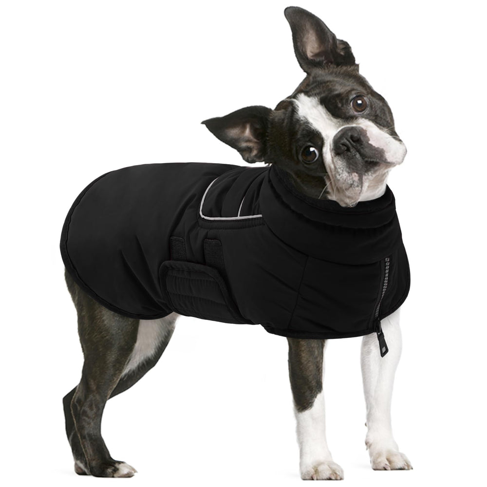 Manteau imperméable AOFITEE pour chien protège du vent et de la pluie.