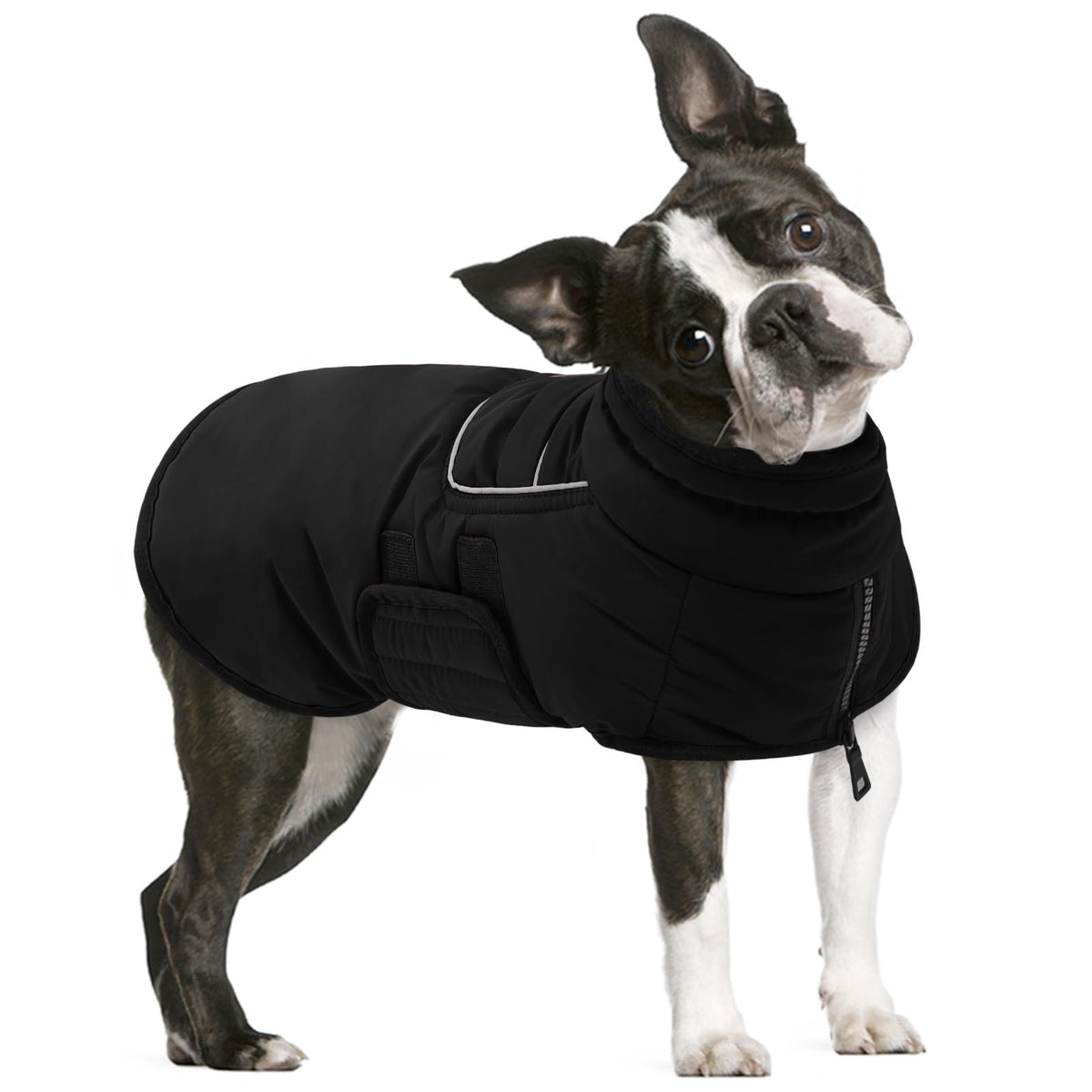 Manteau imperméable AOFITEE pour chien protège du vent et de la pluie.