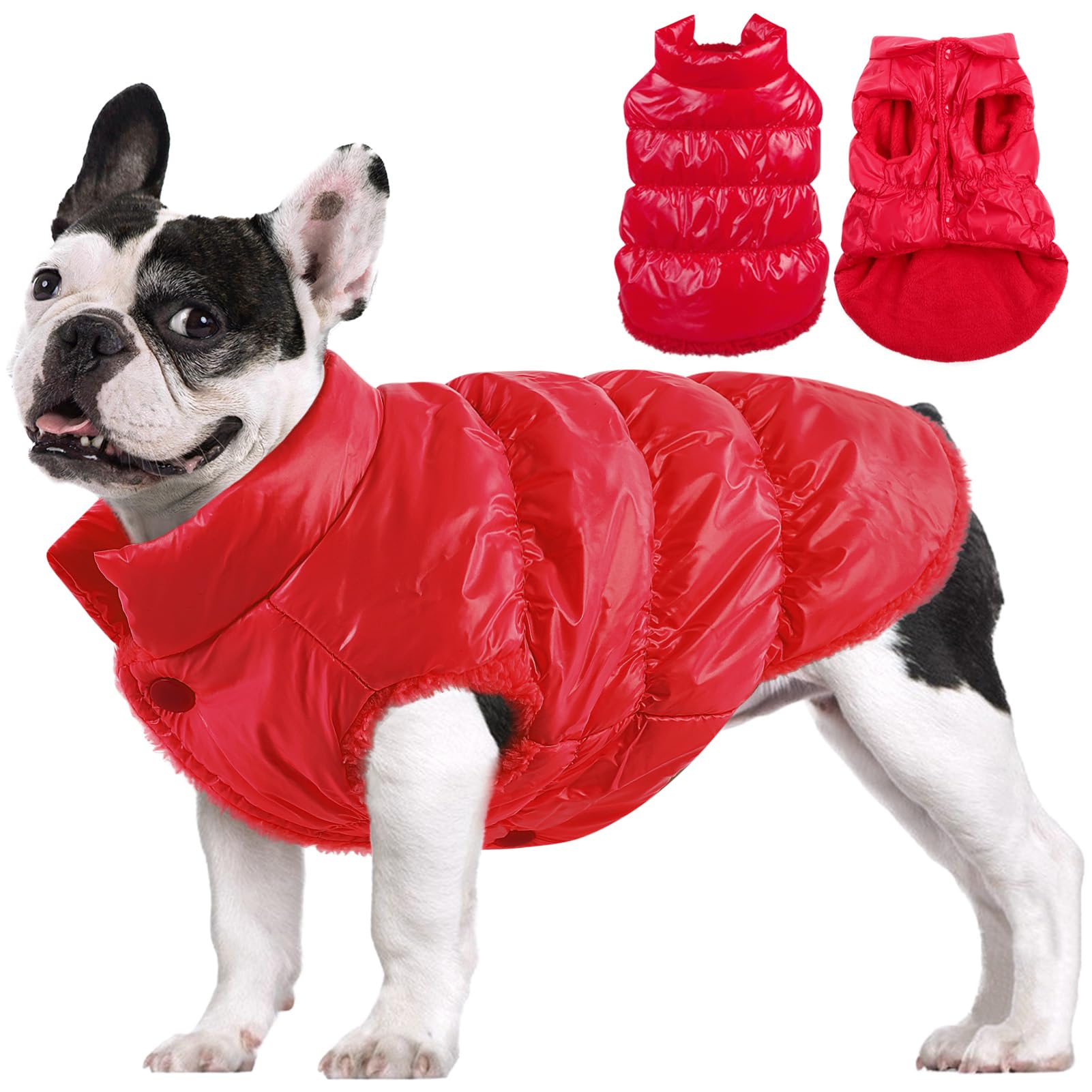 Manteau AOFITEE pour chien rouge, chaleur polaire visible sur chien en promenade