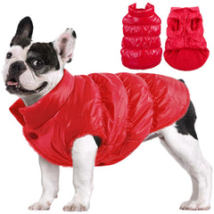 Manteau AOFITEE pour chien rouge, chaleur polaire visible sur chien en promenade