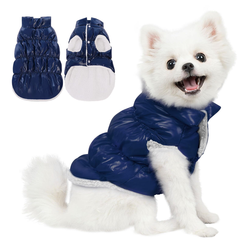 Manteau AOFITEE pour petit chien imperméable, garde le chien au sec en hiver