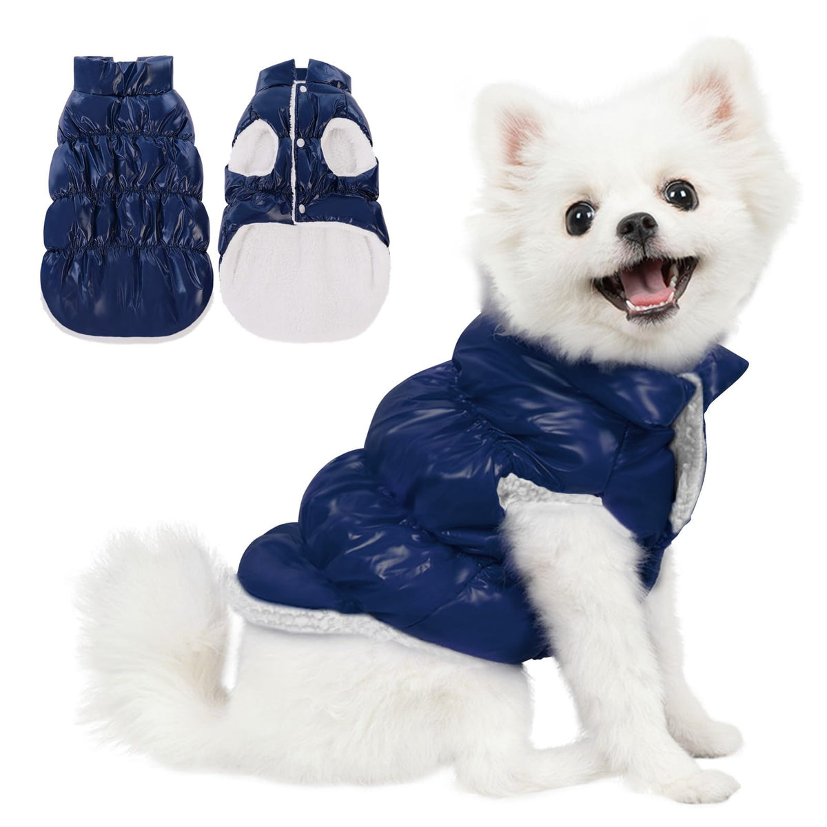 Manteau AOFITEE pour petit chien imperméable, garde le chien au sec en hiver