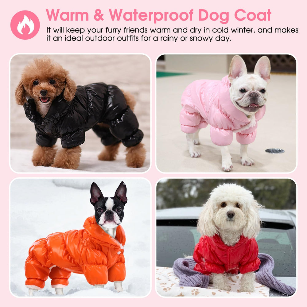 Manteau AOFITEE chien sorties quotidiennes en temps froid.