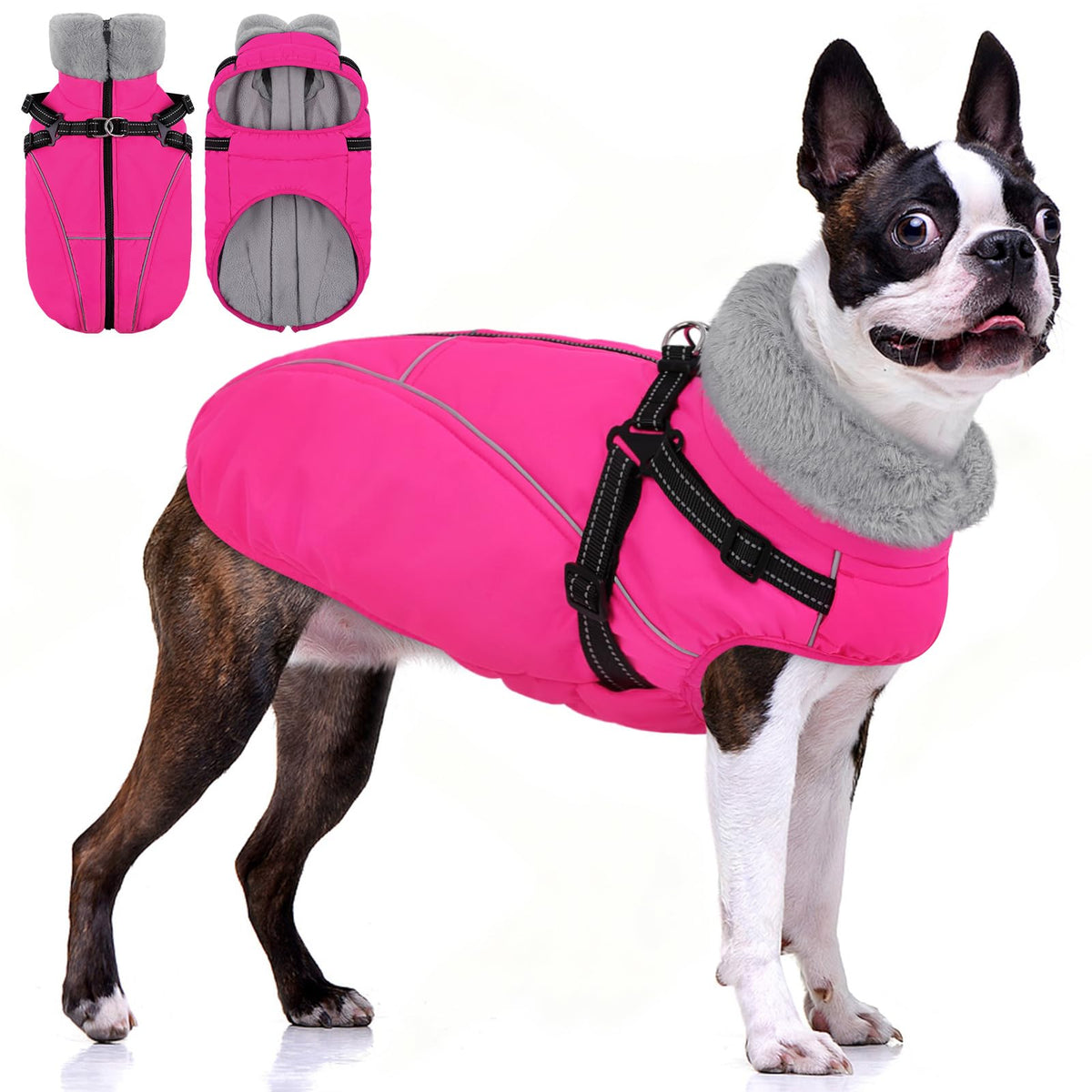 Manteau d'hiver AOFITEE pour chien imperméable, chaleur durable lors des balades.