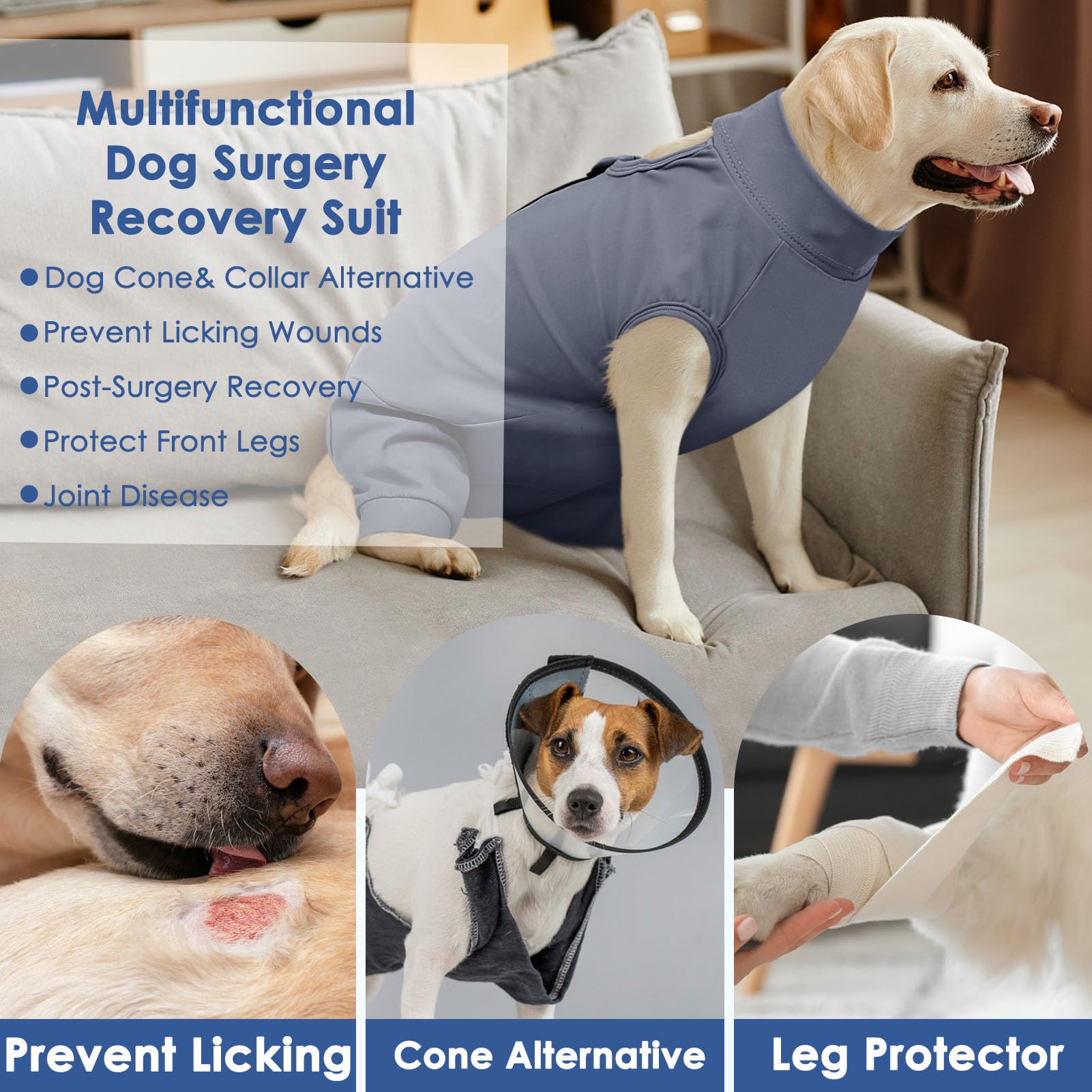 AOFITEE chien portant le gilet, confort toute la journée après chirurgie.