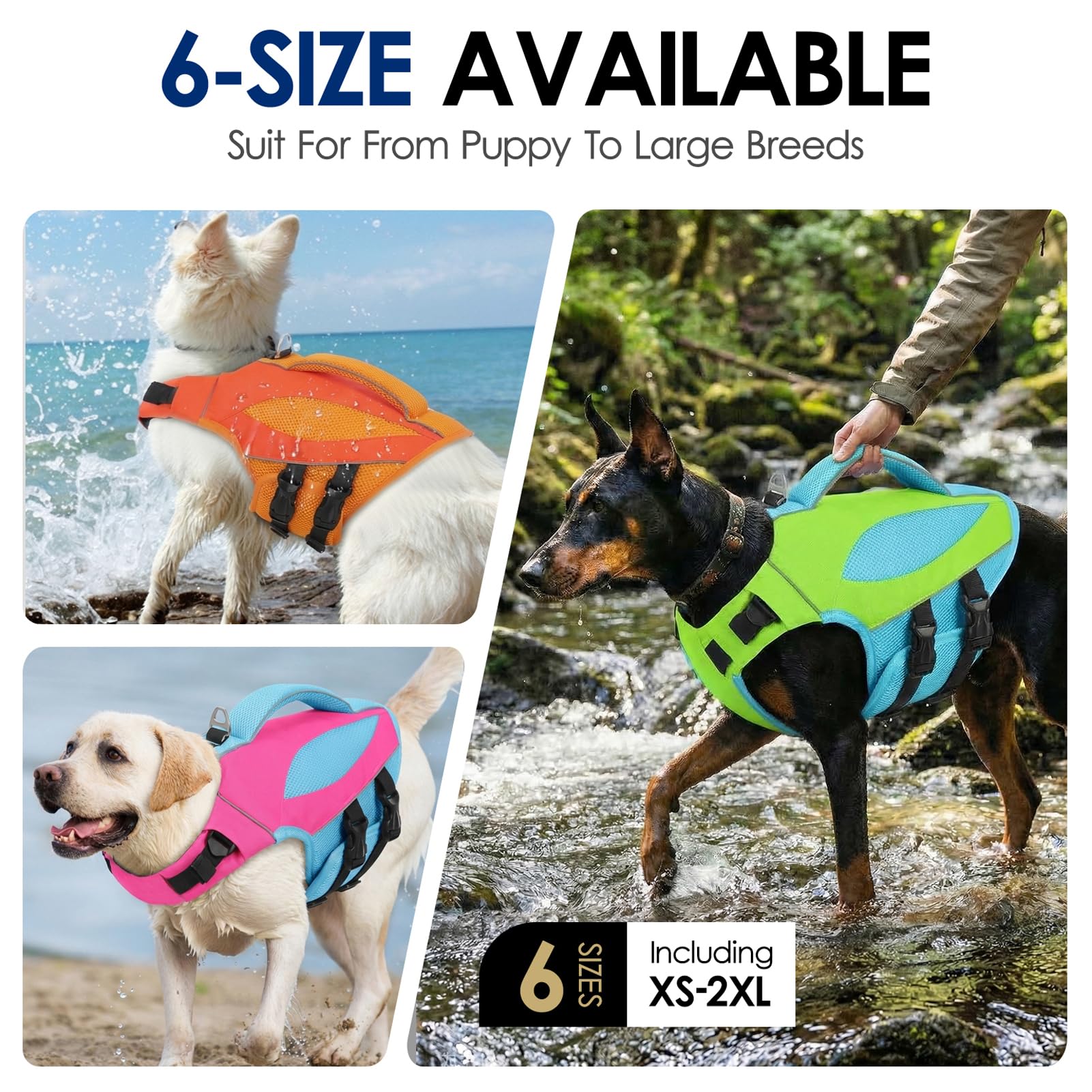 Tailles multiples AOFITEE pour chiens petits à grands, choix simple.