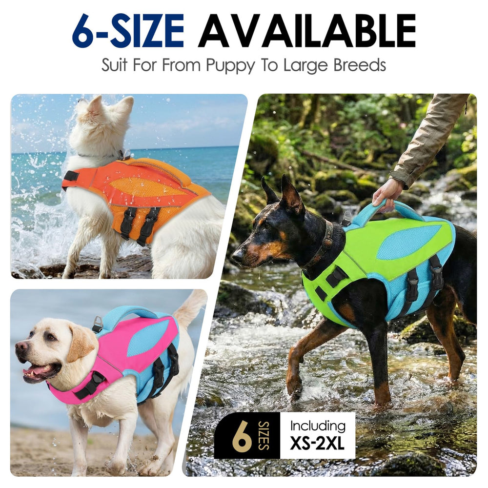 Tailles multiples AOFITEE pour chiens petits à grands, choix simple.