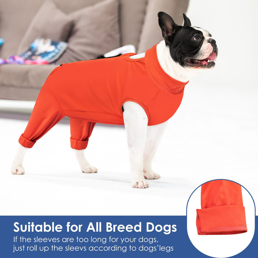 AOFITEE tissu respirant qui évacue l humidité pour chien.