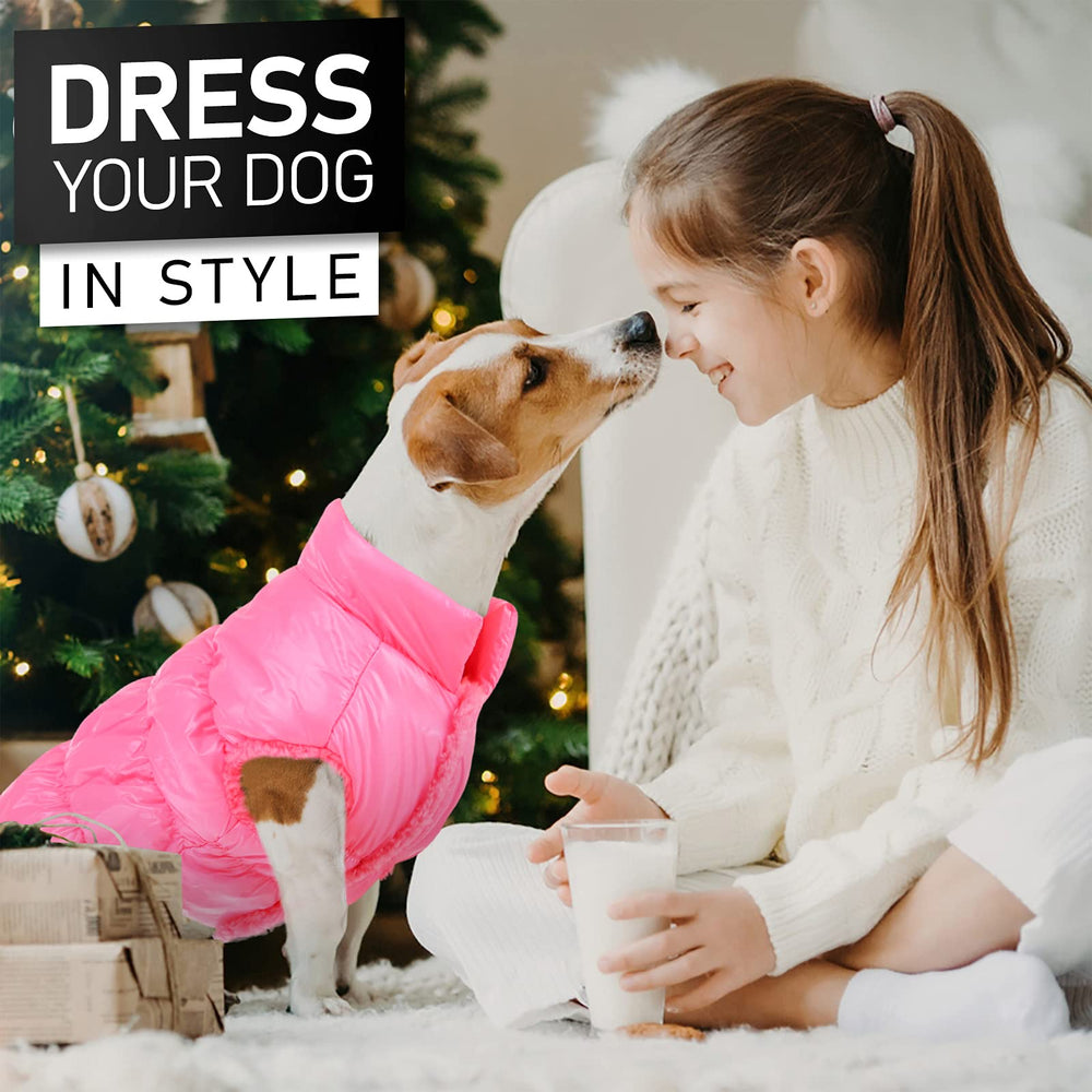 AOFITEE veste anti-vent pour chien: coupe résistante et entretien facile.