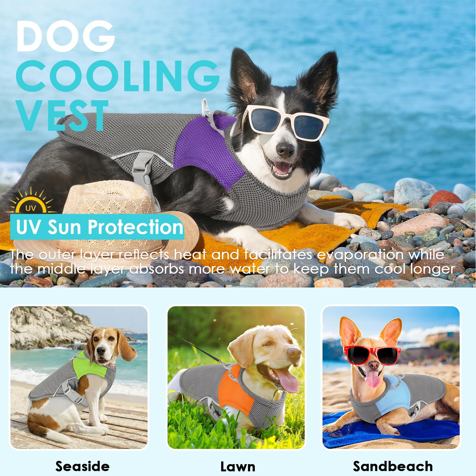 Veste chien harnais anneau en D intégré, pratique pour promenades sécurisées.