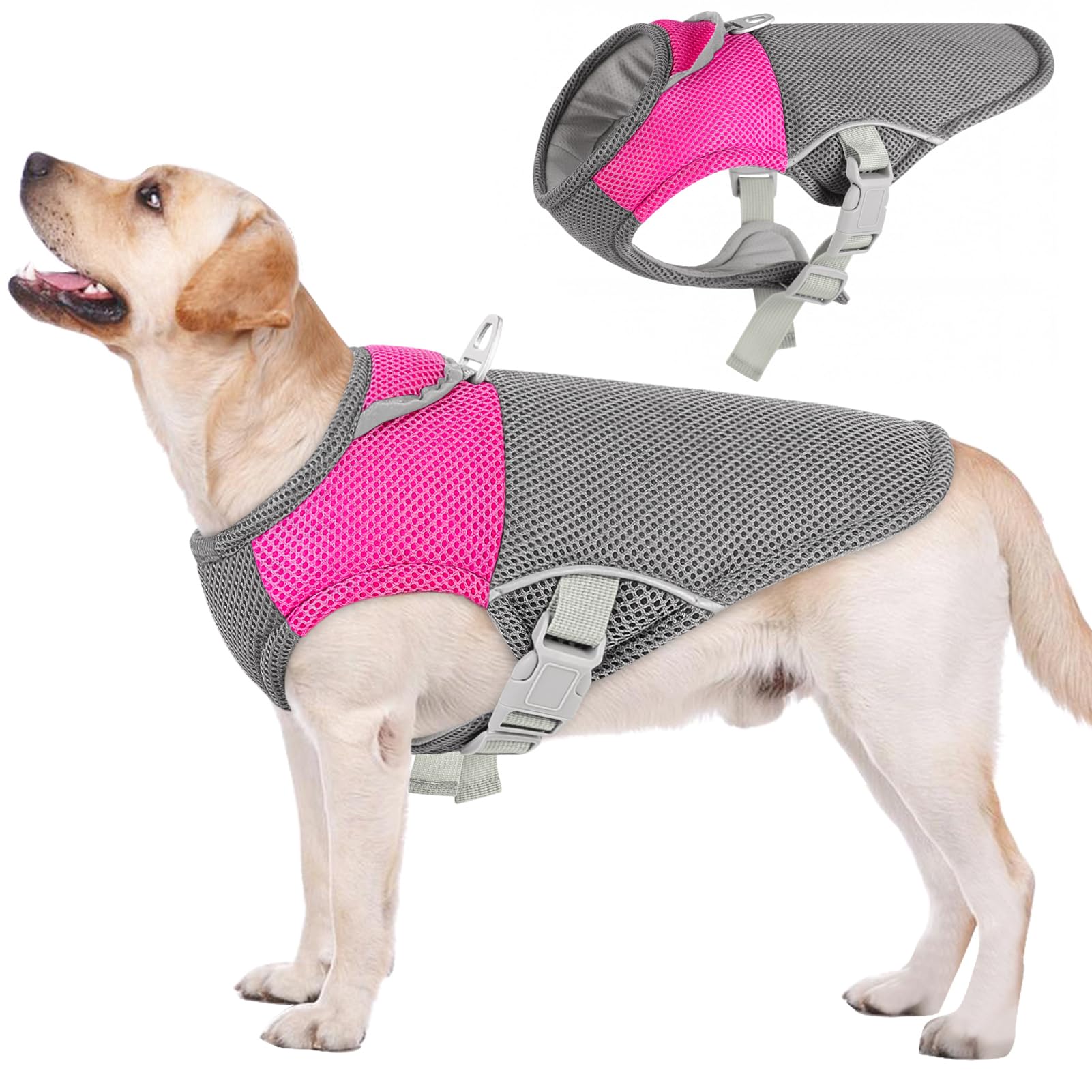 Veste refroidissante AOFITEE pour chien en mesh, pratique lors des journées chaudes.