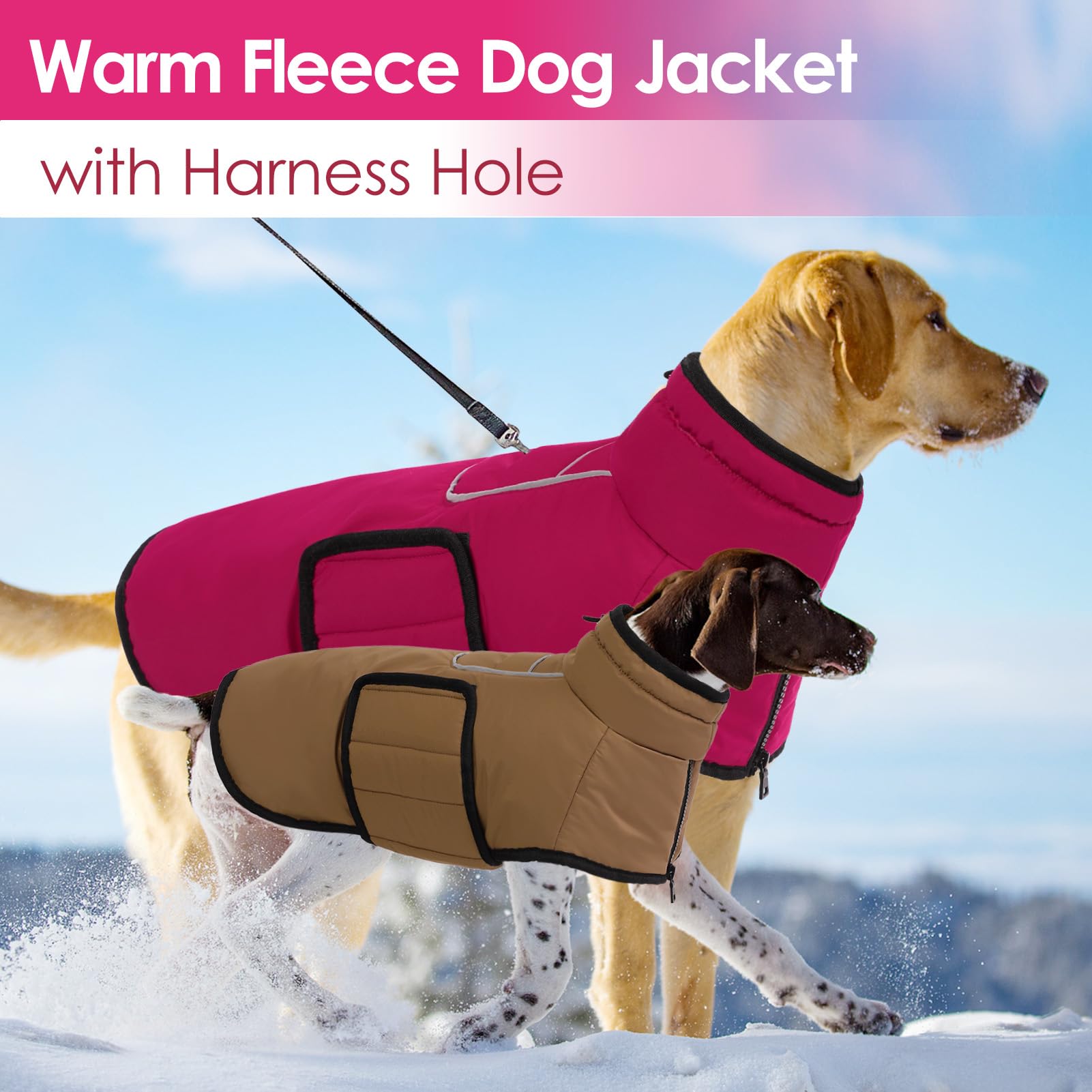 Veste chien AOFITEE réflective pour sorties en soirée et par faible lumière.
