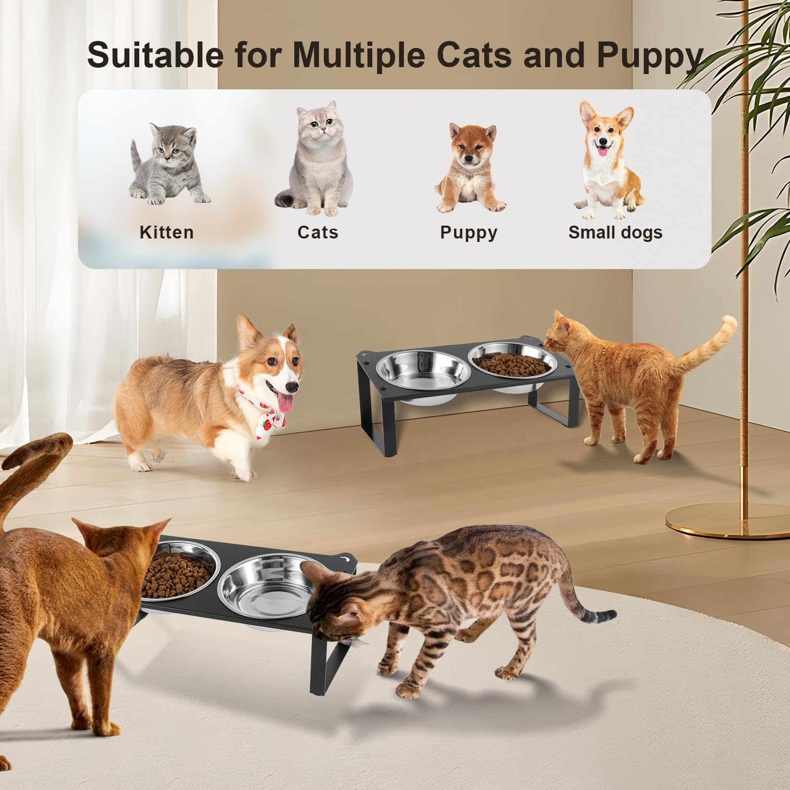 Aomafamzoy-bols-chat-inox-400ml: bols inox faciles à nettoyer adaptés aux aliments humides et secs.