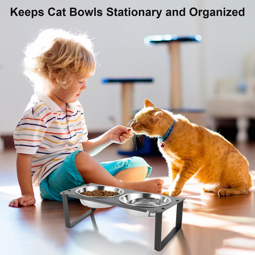 Aomafamzoy-bols-chat-larges-et-confortables: bols peu profonds pour confort et alimentation.