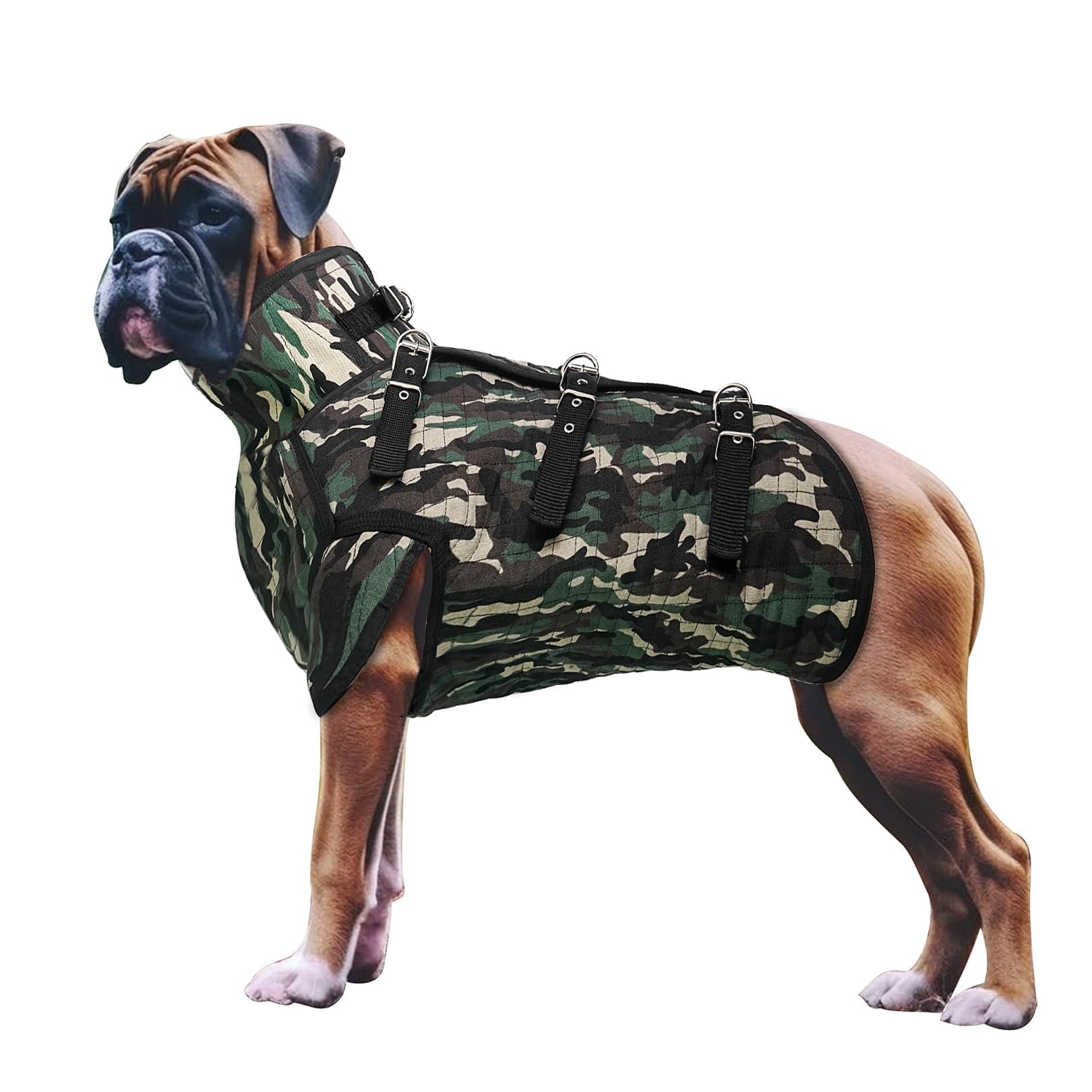 Aoneky armure pour chien de chasse – veste protectrice du corps en action.