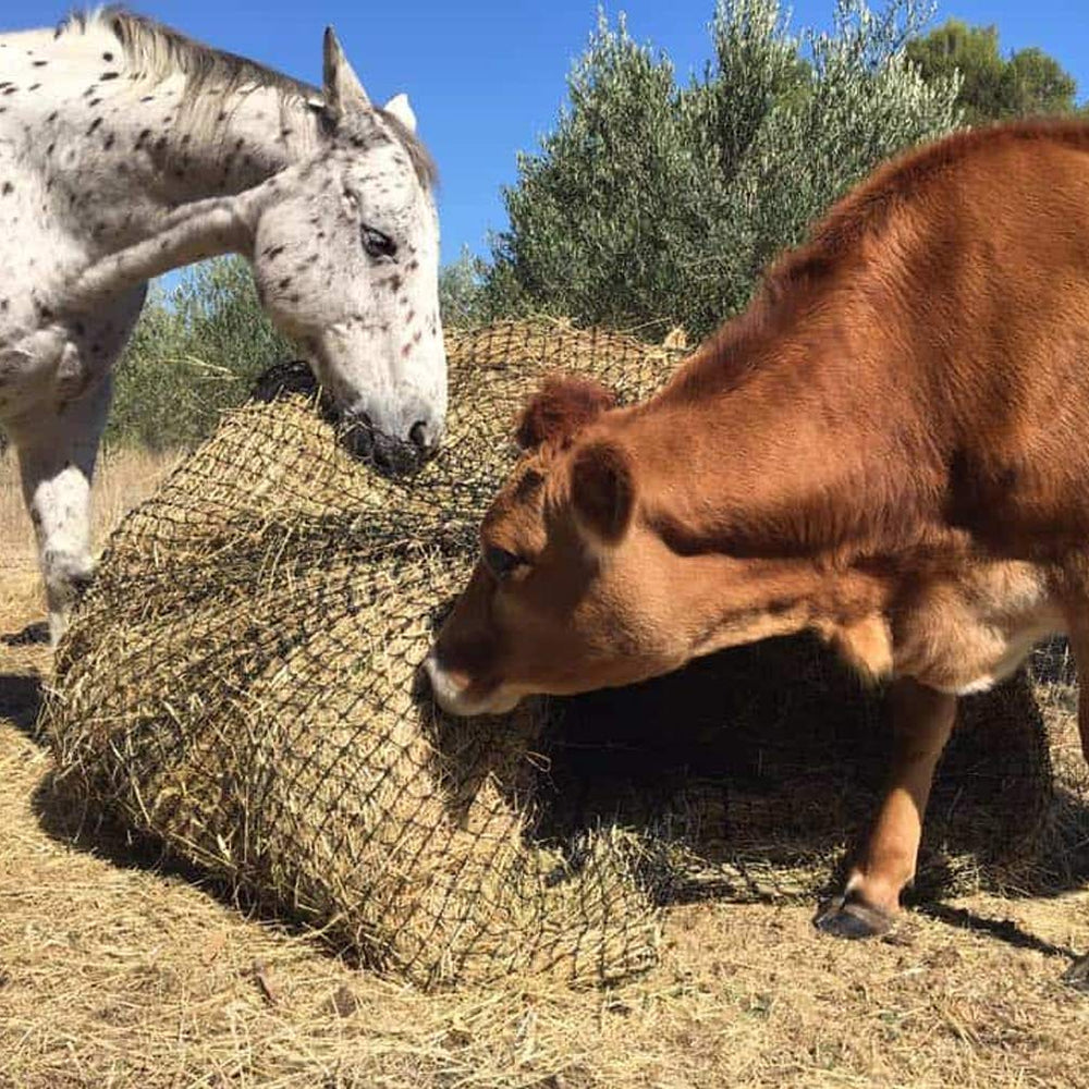 Aoneky Bale Hay Net, utilisation facile en box pour repas contrôlés.