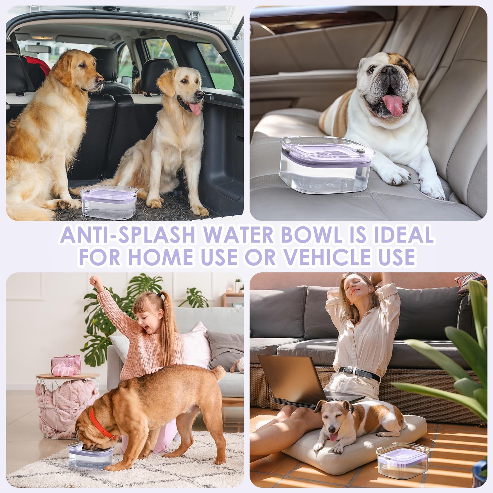 Usage quotidien AONKEY, bol d eau 3L pour chiens gourmands.