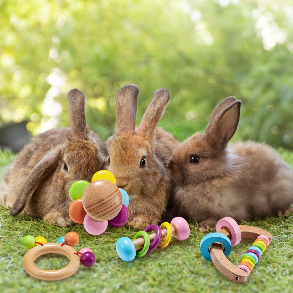 AOWPFVV jouets en bois pour lapin – parfait pour la mastication et le jeu.