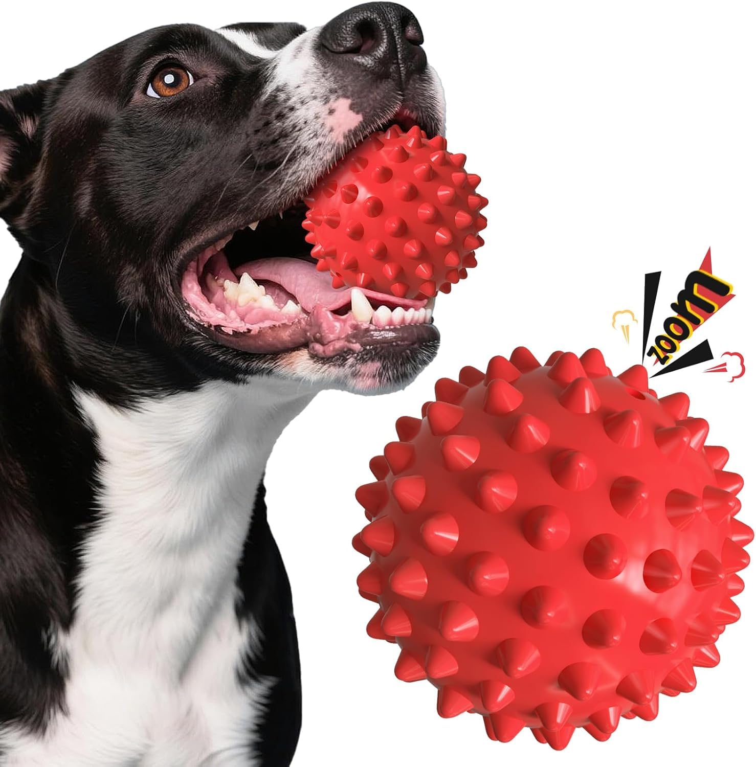 Balle sonore Apasiri goût boeuf pour chien, stimule le jeu et la curiosité.