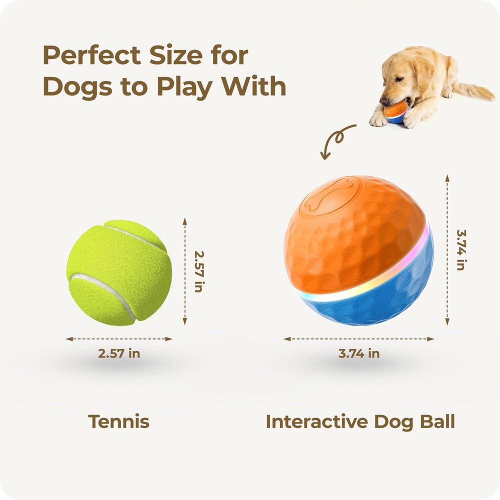 Diamètre 9,5 cm Duraspin adapté pour petits et moyens chiens.
