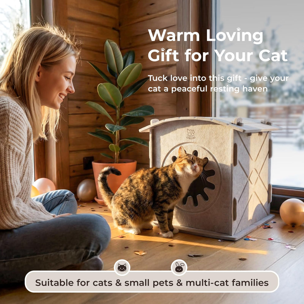 Apasiri maison-chat idéale pour plusieurs chats, espace de repos sécurisé.