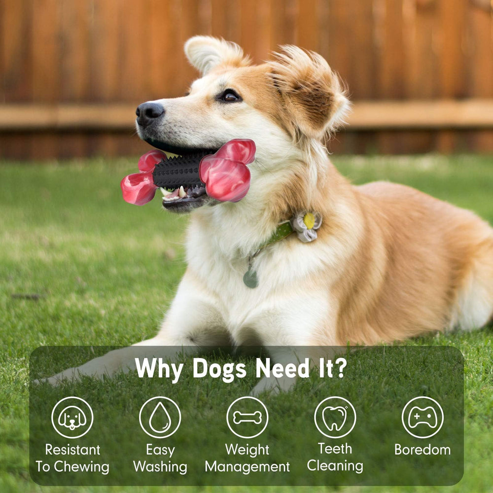 Apasiri promesse durabilite – jouet robuste pour chiens agressifs et actifs.