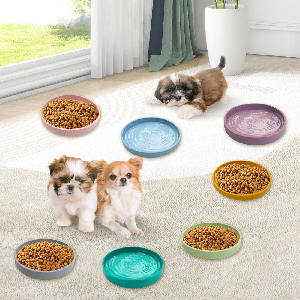 Parfait pour aliments secs et humides, bol Apatal réduit le bruit.