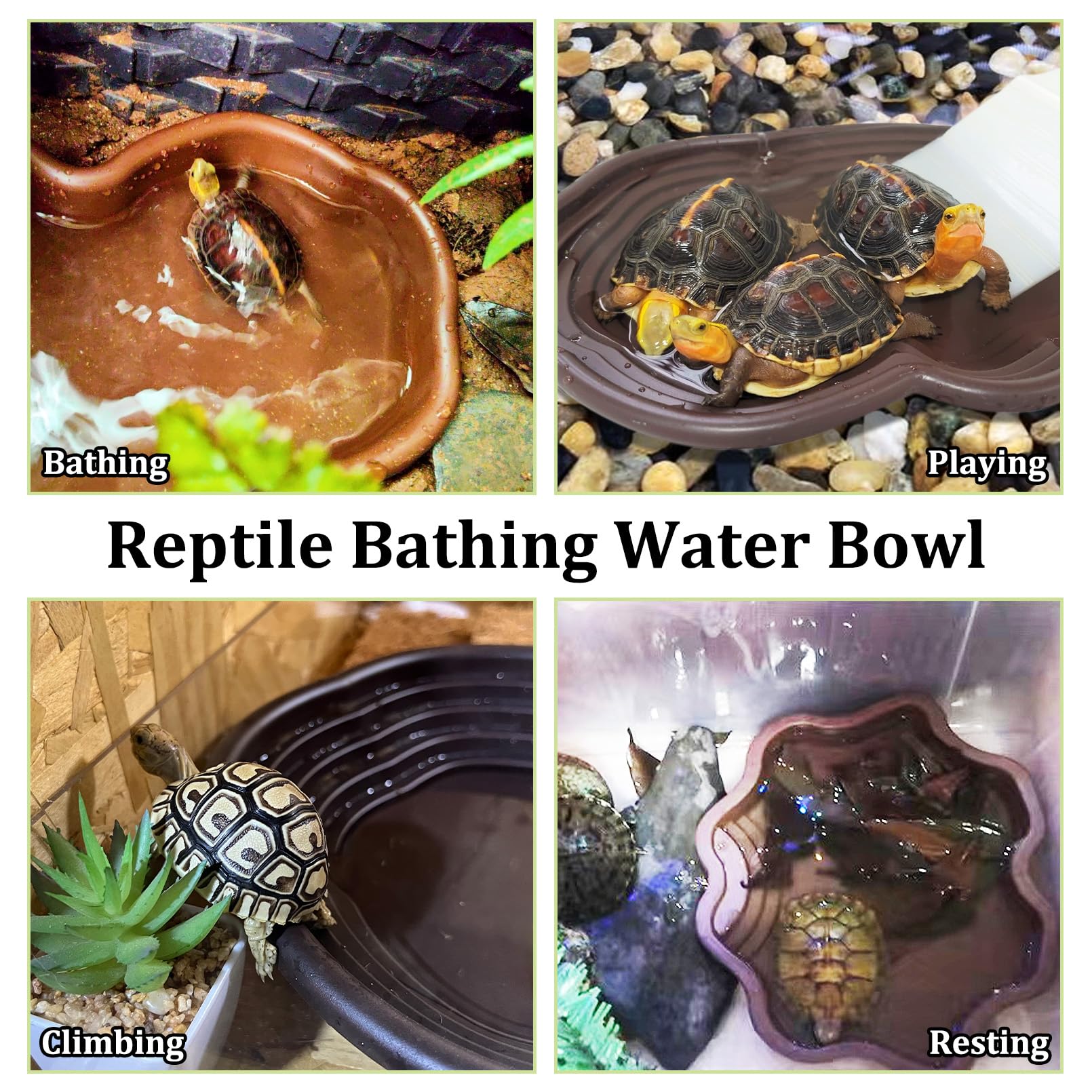 Apatal pince-a-nourrir reptile facilite nourrir sans stress.