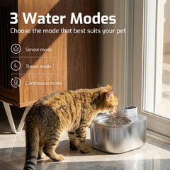 Capteur détecte le chat et déclenche l'eau.