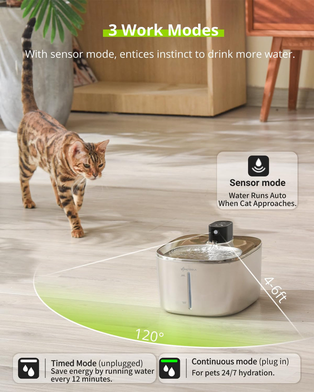 APETDOLA capacité 4L, idéal pour plusieurs animaux lors de déplacements