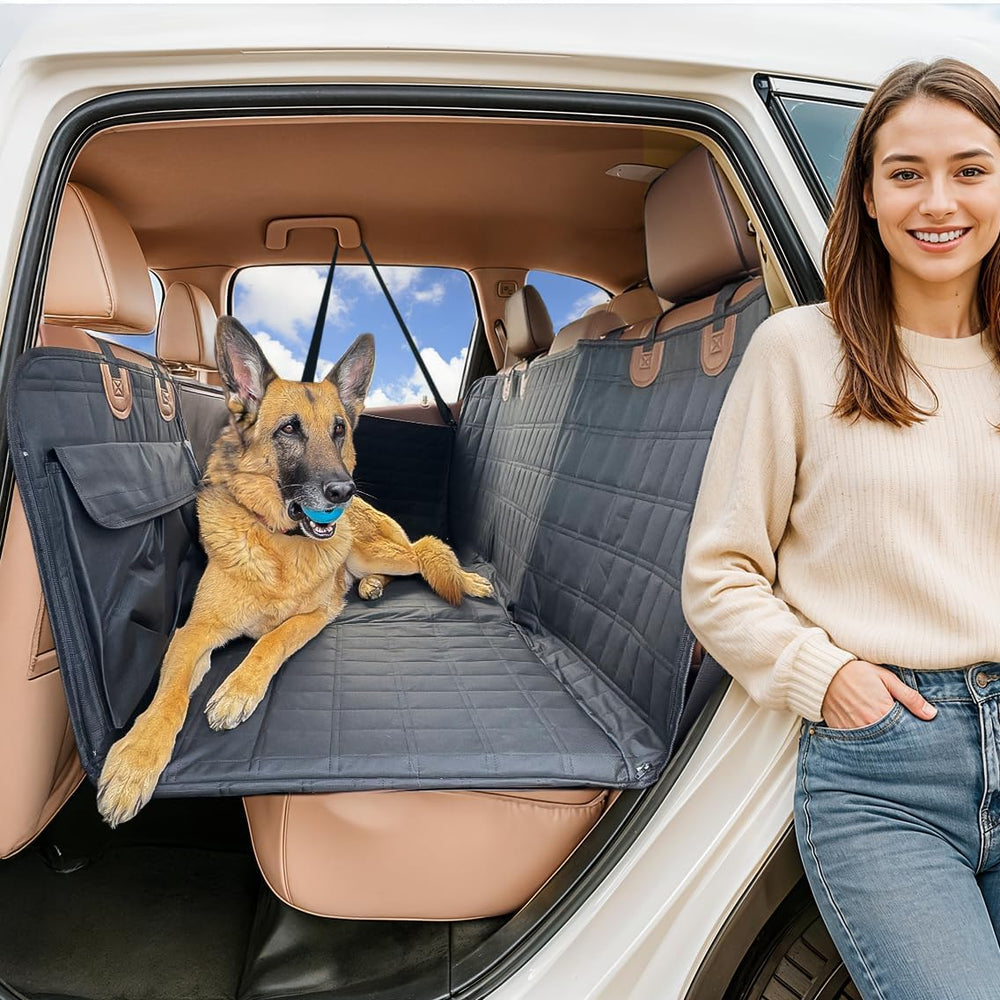 APetsPlanet housse siege-arriere chien impermeable pour protection et nettoyage facile