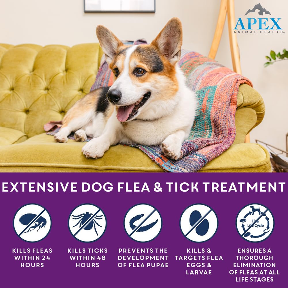 Apex Plus-application topique: pose simple sur le pelage pour protection pratique.