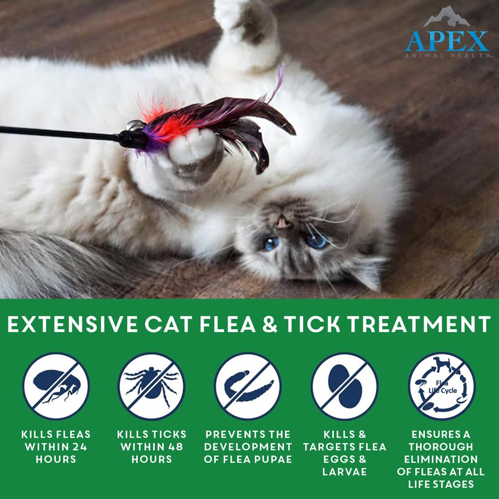 Apex Plus Chat - application topique sur le dos du chat.