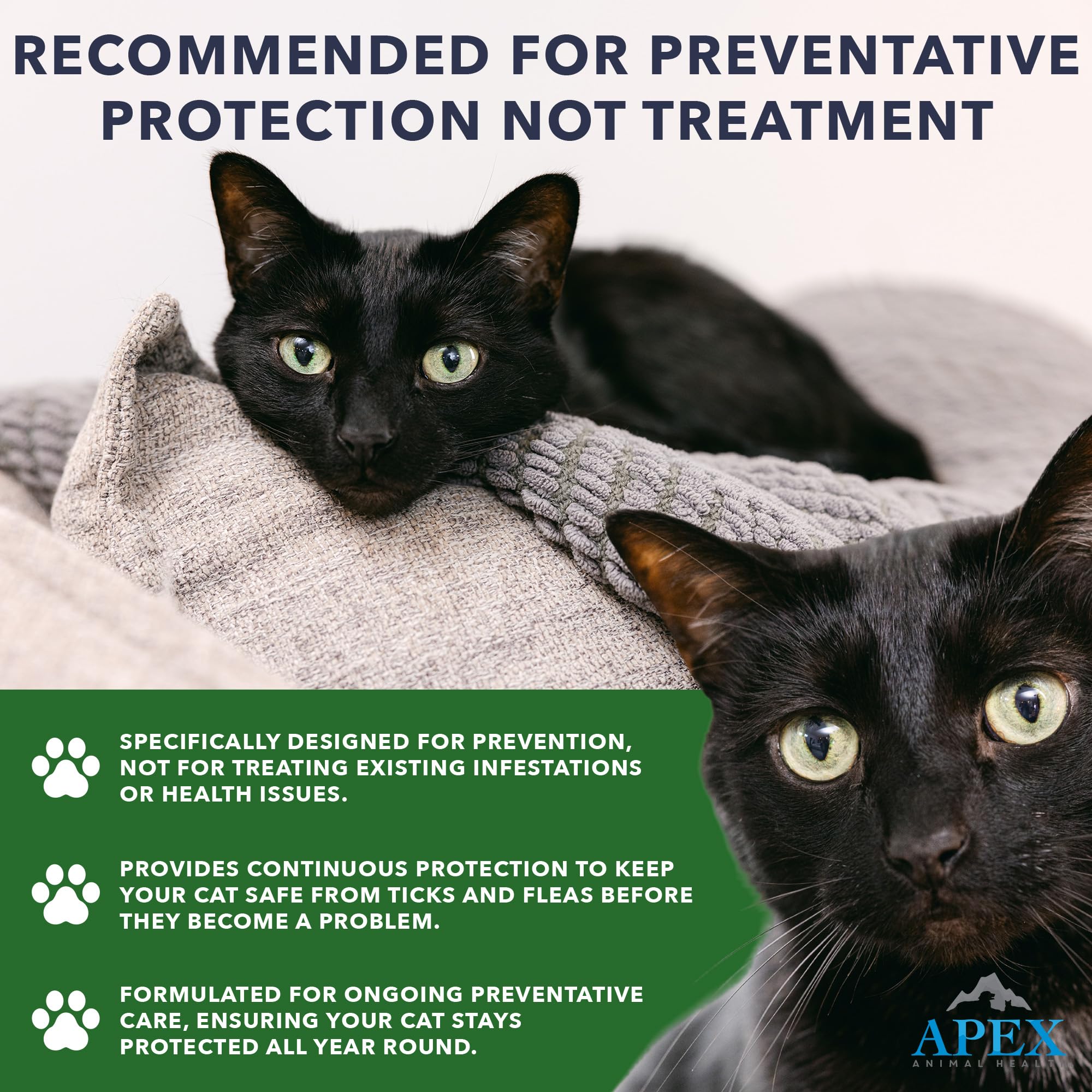 Apex Plus Chat - protection de 30 jours contre puces et tiques.