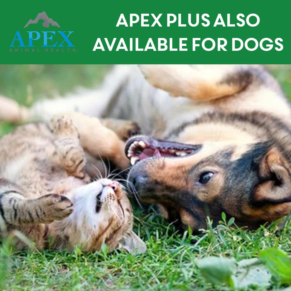 Apex Plus Chat - protection fiable pour chats et chatons.