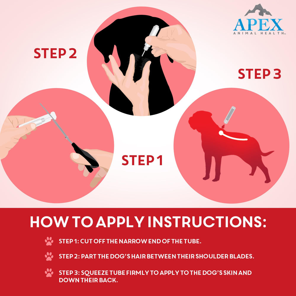Apex Plus: information-utilisation sur dos du chien XL pour une utilisation sûre.