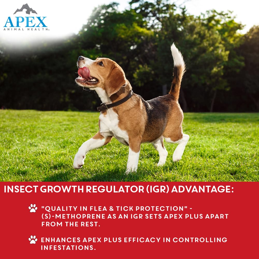 Apex Plus: protection 30 jours pour chien XL, application fiable et régulière.
